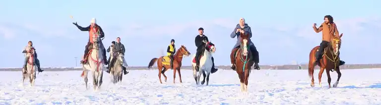 Erzurum'da Atlı Yaban Hayatı Desteği